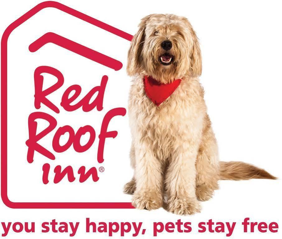 Red Roof Inn Canton Exterior foto